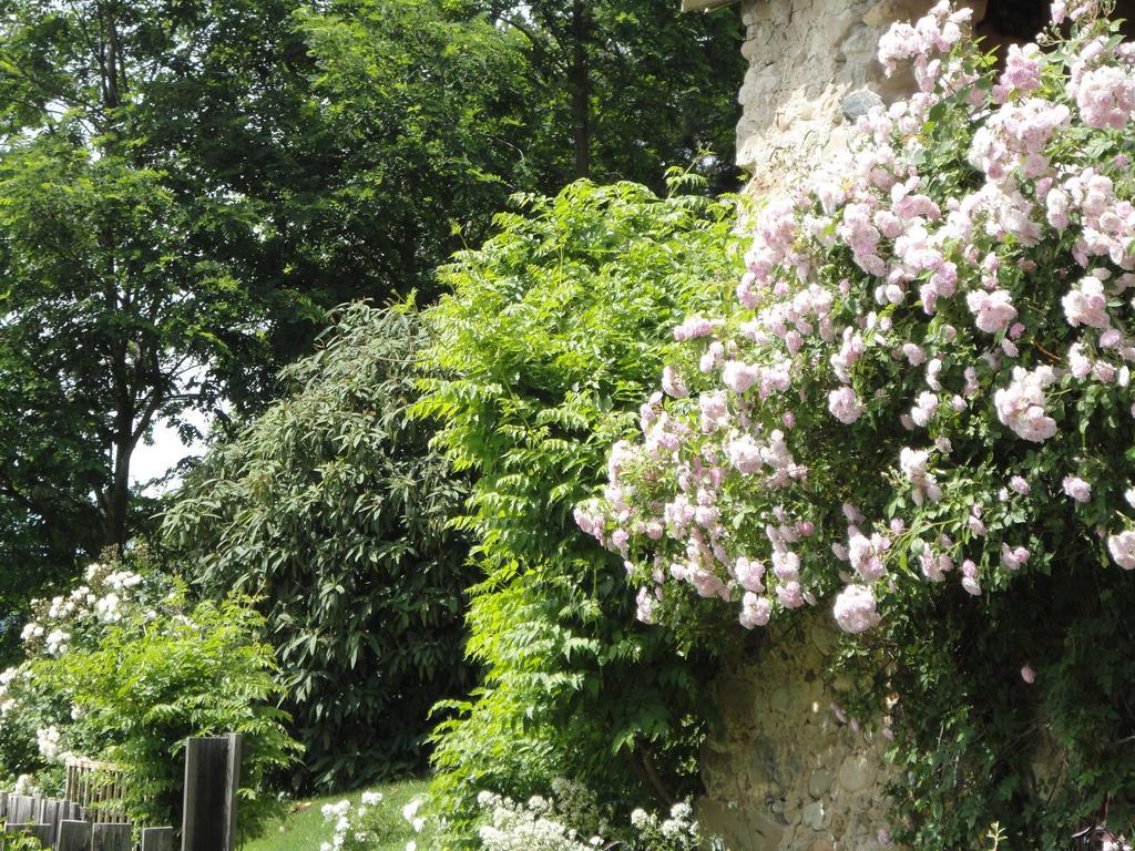 Un Gite De Charme En Haute Provence Villa Sigoyer  Phòng bức ảnh
